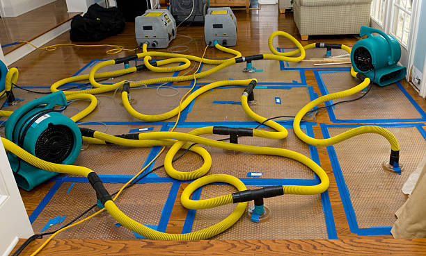 Professional Flood Damage Restoration technician working in Bryant, WA